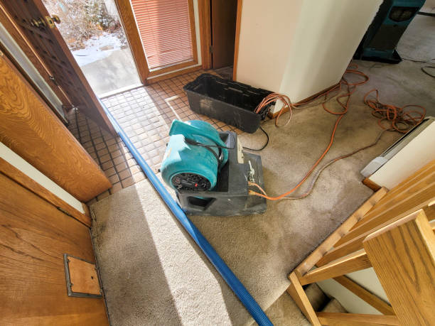 Best Water damage restoration services  in Magnolia, OH