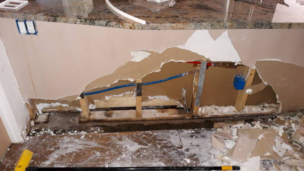 Best Carpet water damage restoration  in Magnolia, OH