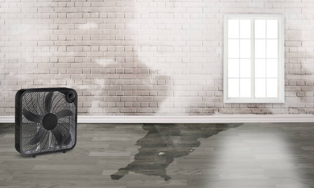  Magnolia, OH Water damage restoration Pros
