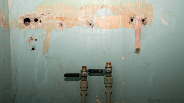 Best Fire Damage Restoration  in Magnolia, OH