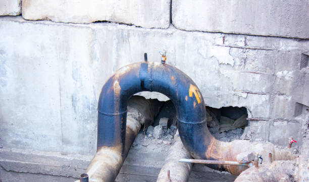Best Water damage restoration near me  in Magnolia, OH