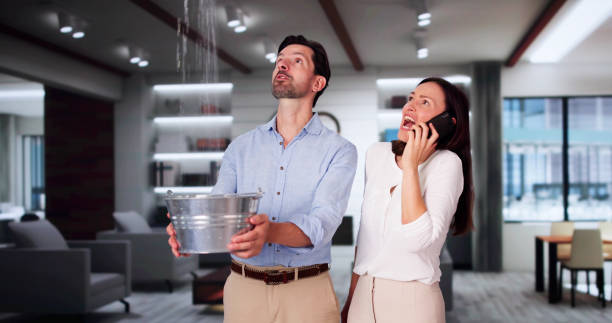 Best Residential water damage restoration  in Magnolia, OH
